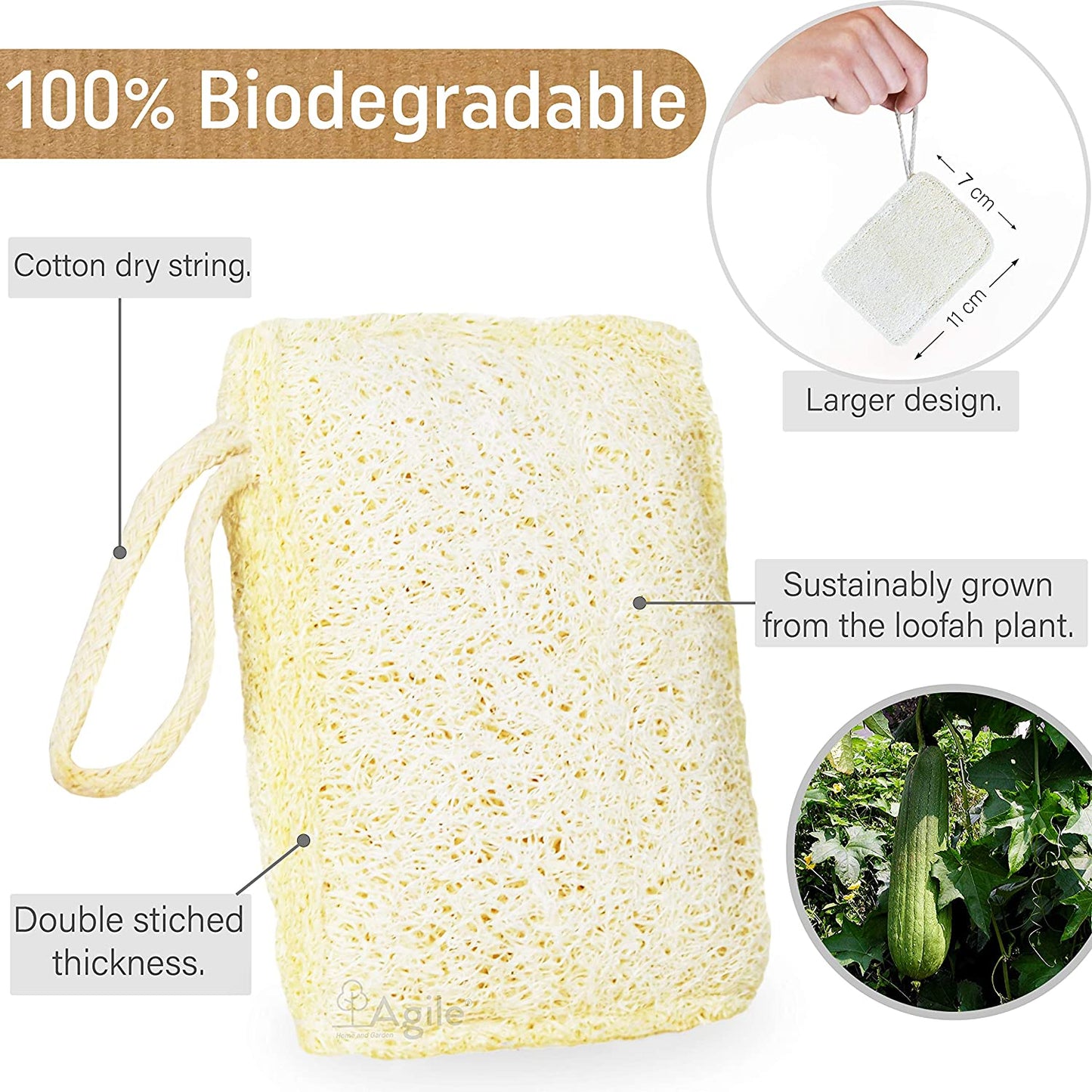 Eco Dish Brush & Dish Sponge Set