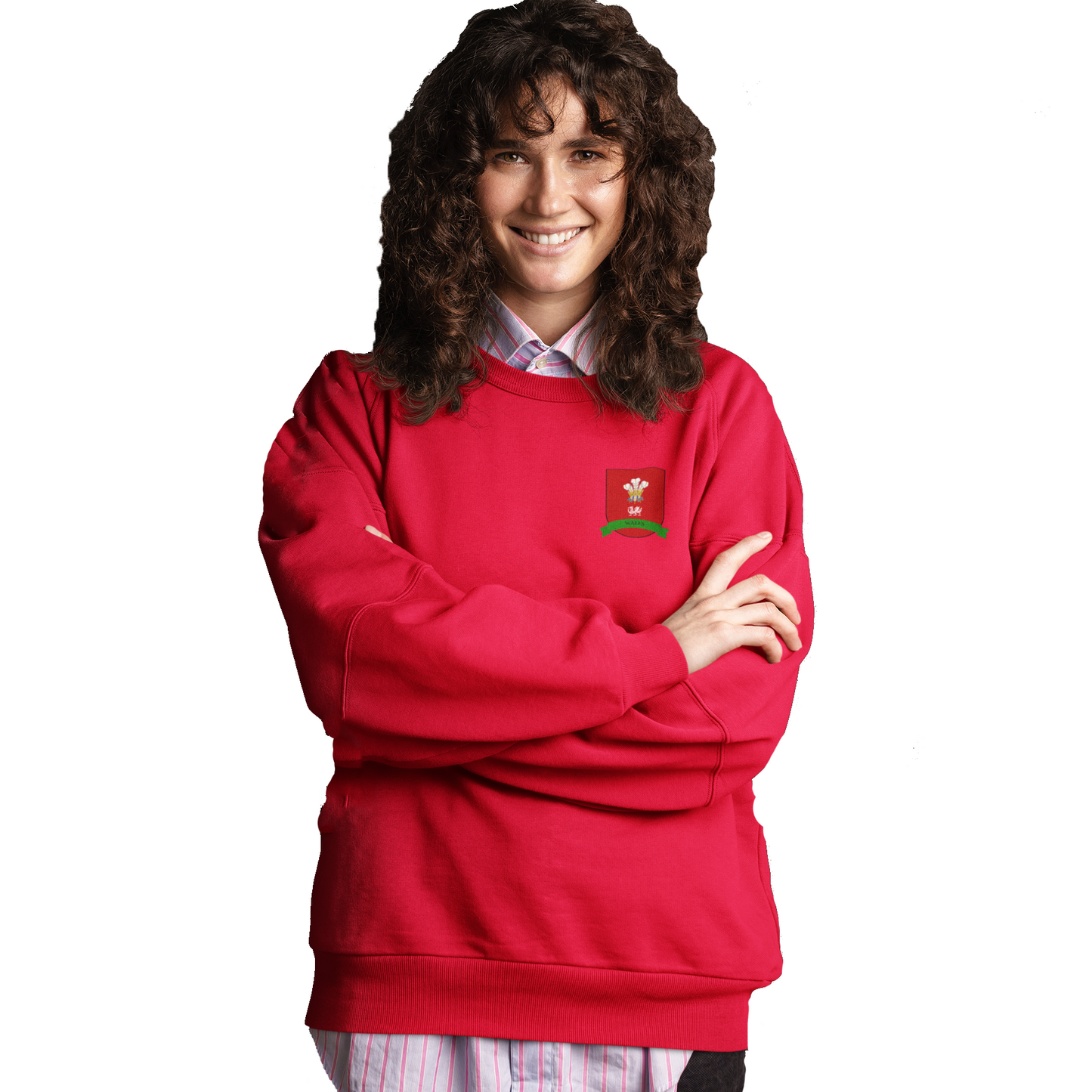 Six Nations Wales Unisex Sweatshirt